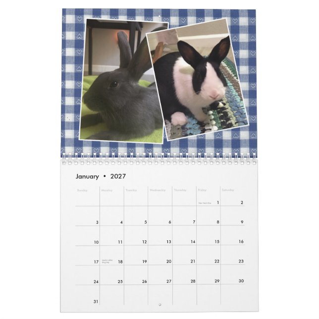 2020 Bunny Rescue & Bildung Kalender (Jan 2027)