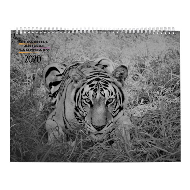 2020 Cedarhill-Kalender Kalender (Titelbild)