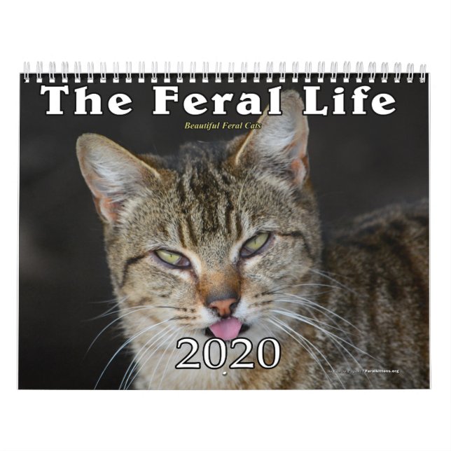 2020 Der Kalender der Wildkatzen (Titelbild)