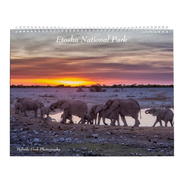 2020 Etosha Nationalpark-Kalender Kalender (Titelbild)