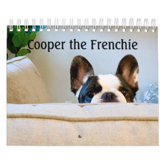 2020 Französischer Bulldog-Kalender - Cooper the F Kalender