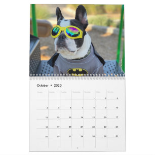 2020 Französischer Bulldog Kalender für Hundefre