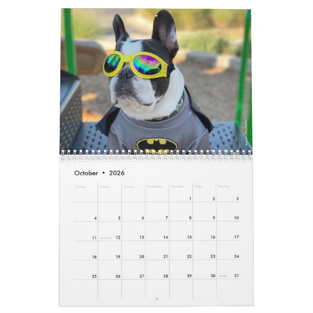 2020 Französischer Bulldog Kalender für Hundefreun (Okt 2026)