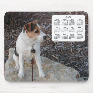 2020 Jack Russell Terrier Dog Calendar von Janz Mousepad