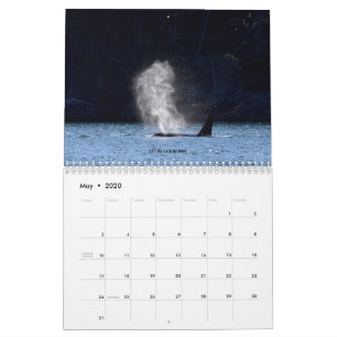 2020 Kalendar Southern Resident Killer Wale Kalender