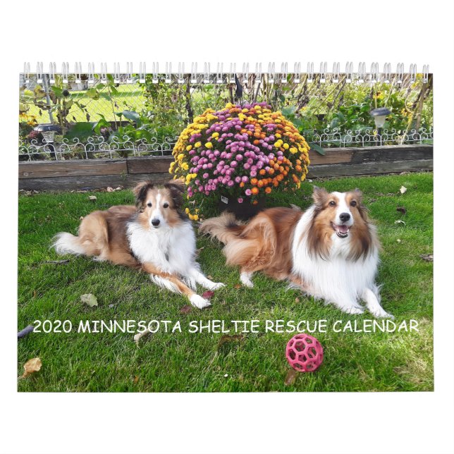 2020 MINNESOTA SHELTIE RESCUE CALENDAR KALENDER (Titelbild)