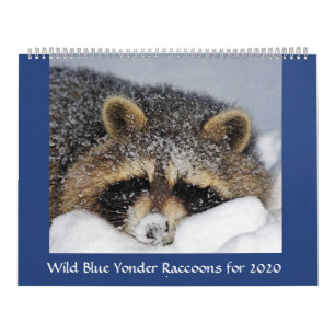 2020 Raccoon Kalender aus Wild Blue Yonder .