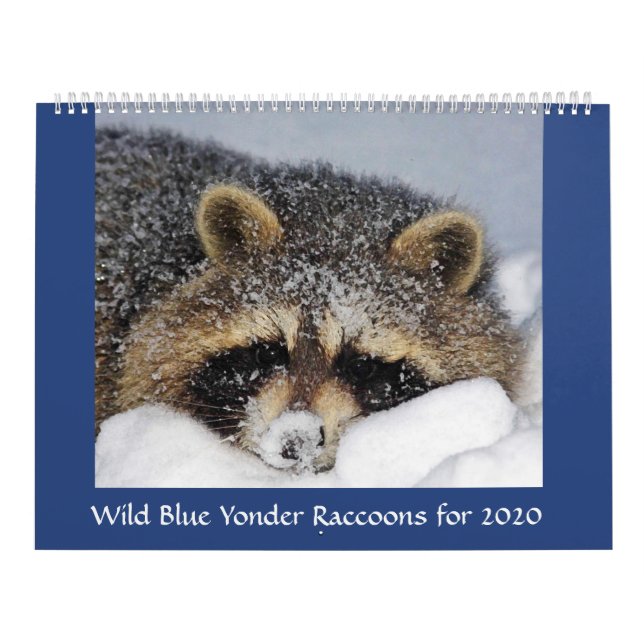 2020 Raccoon Kalender aus Wild Blue Yonder . (Titelbild)
