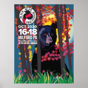 2020 Schwarzer Bär Film Festival Poster