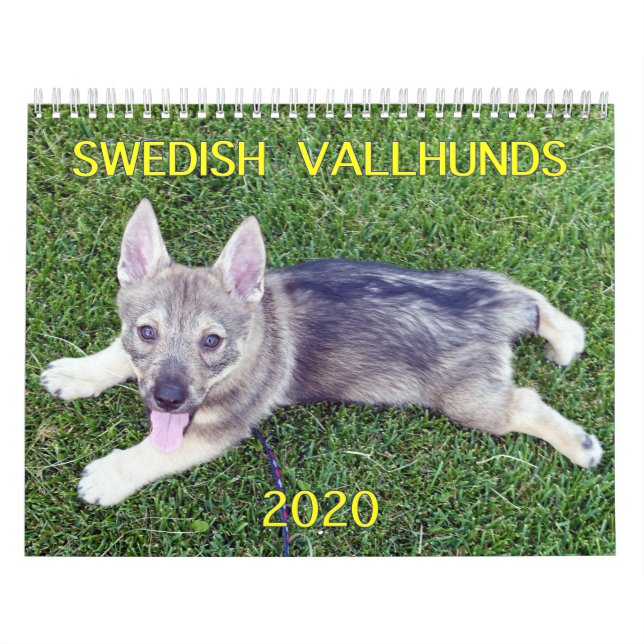 2020 SCHWEDISCHE VALLHUND-CALLENDAR KALENDER (Titelbild)