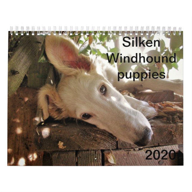 2020 Silken Windhound-Welpen Kalender (Titelbild)