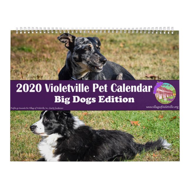 2020 Violetville Pet Calendar ~ Big Dogs Edition Kalender (Titelbild)