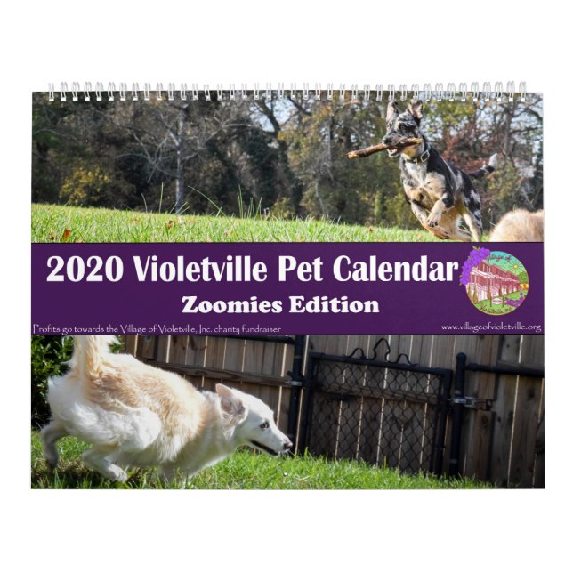 2020 Violetville Pet Calendar ~ Zoomies Edition Kalender (Titelbild)