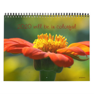 2020 wird farbig sein kalender