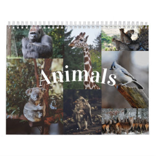 2020 Zuhause/Office Wall Calendar Tierkalender Kalender