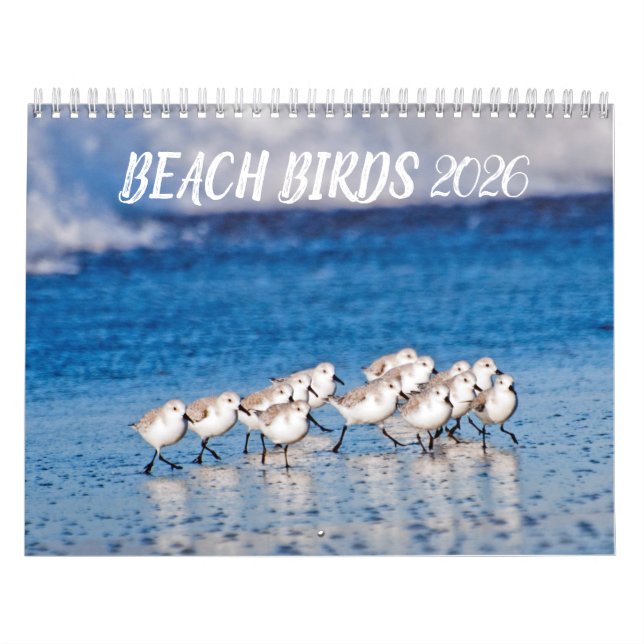 2021 Beach Birds Fotografie Kalender (Titelbild)