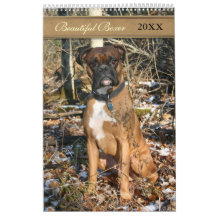 2021 Beautiful Boxer Dog