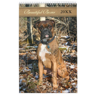 2021 Beautiful Boxer Dog Kalender