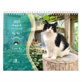 2021 Cat Wall Calendar, Life of Sly Pie Kalender