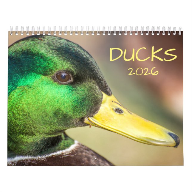 2021 Enten-Fotografie Kalender (Titelbild)