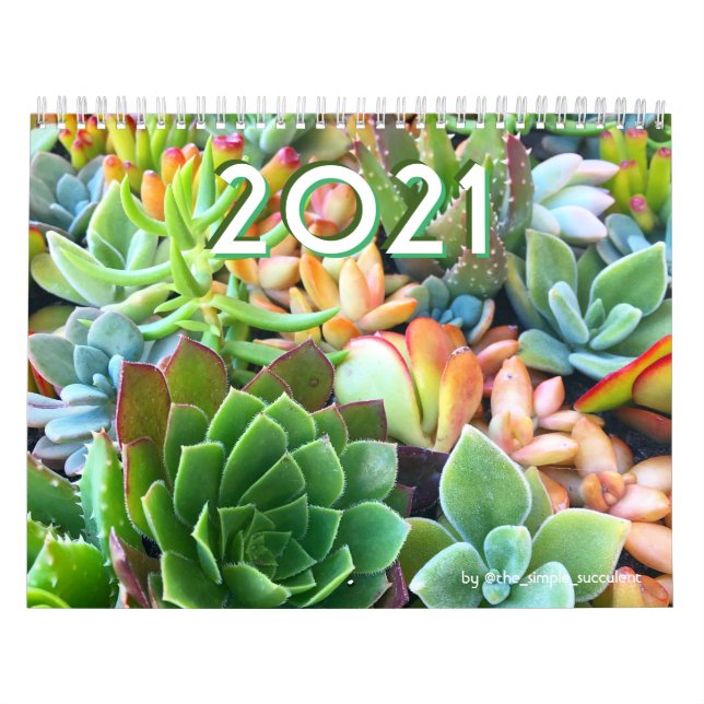 2021 Farbenfrohe Pflanze Garten Kalender (Titelbild)