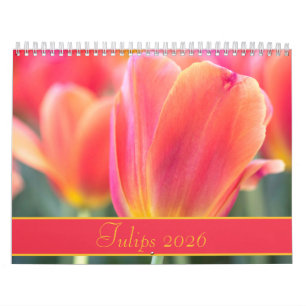 2021 Farbige Tulips Fotografie Kalender
