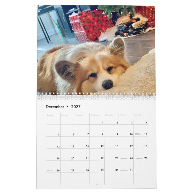 2021 Hudson der Fluffy Corgi Kalender (Dez 2027)