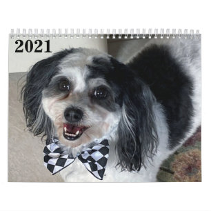 2021 K-Cee II Zuchon Dog Kalender