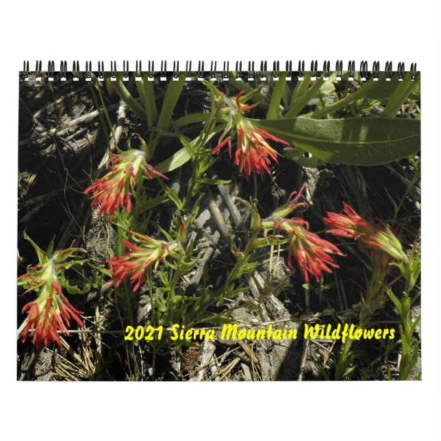 2021 Kalender der Wildblume Sierra Mountain (Titelbild)