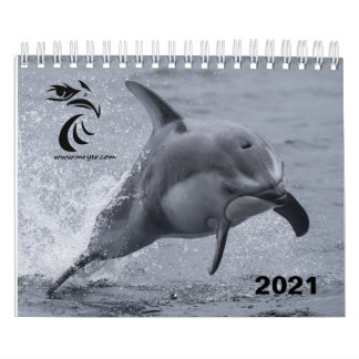 2021 Kalender - Weißer Thunfisch