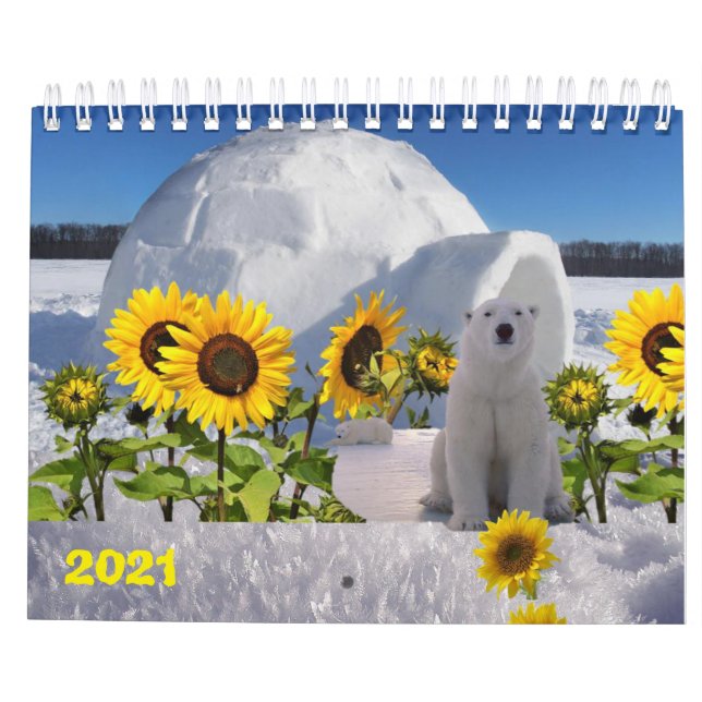 2021 Kalenderpolarbär Kalender (Rückseite)