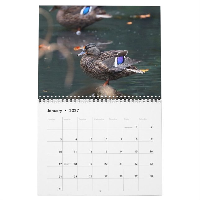2021-Karten Kalender (Jan 2027)