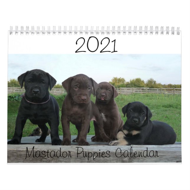 2021 Mastador Puppies-Kalender Kalender (Titelbild)