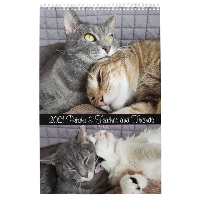 2021 Petals Feather & Friends Kalender (Titelbild)