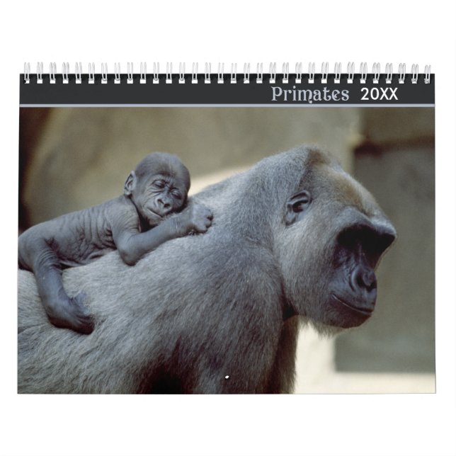 2021 Primats - Kalender der Naturfotografie (Titelbild)