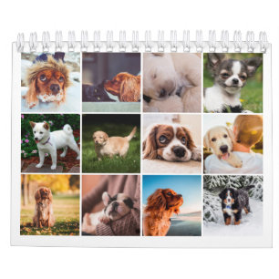 2021 Puppy Dog Pet Foto Kalender