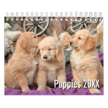 2021 Puppy Dog Pet Foto