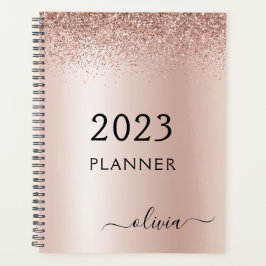 2021 Rose Gold Blush Rosa Glitzer Monogramm Planer