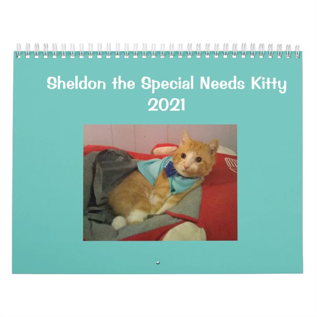 2021 Sheldon-Kalender Kalender (Titelbild)