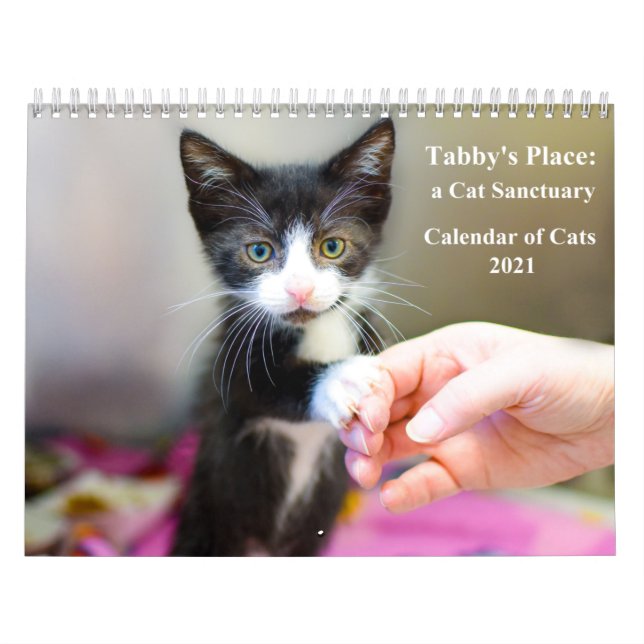 2021 Tabby's Place Calendar Kalender (Titelbild)