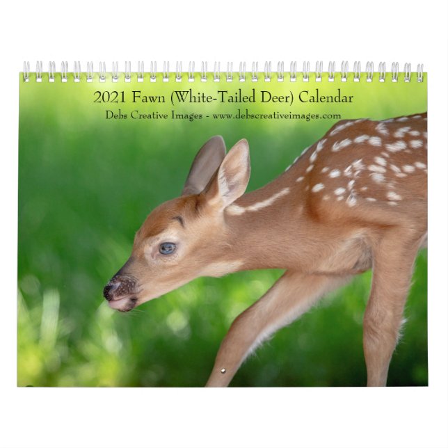 2021 Tierkalender (Weißschwanz-Hirsche) Kalender (Titelbild)