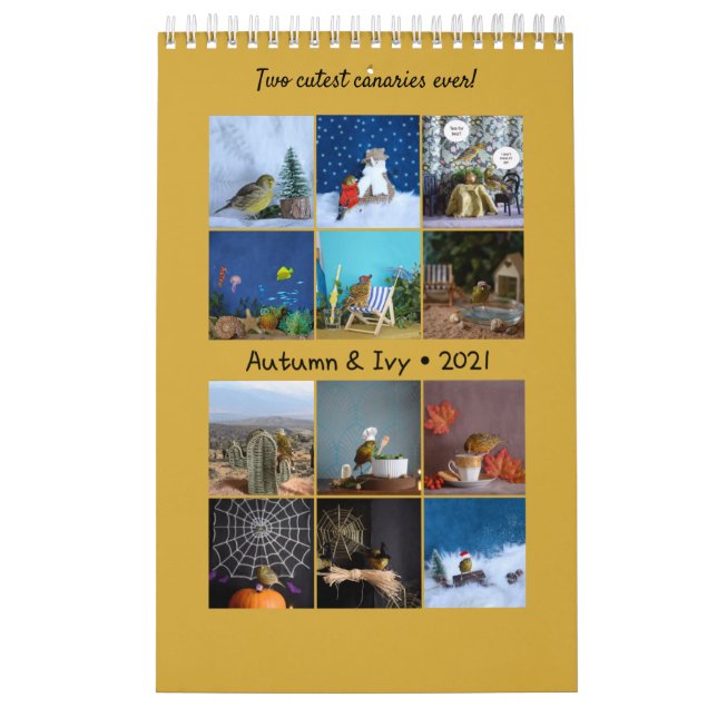 2021 Wall Calendar Niedliche Vögel Haustiere Kanar Kalender (Titelbild)
