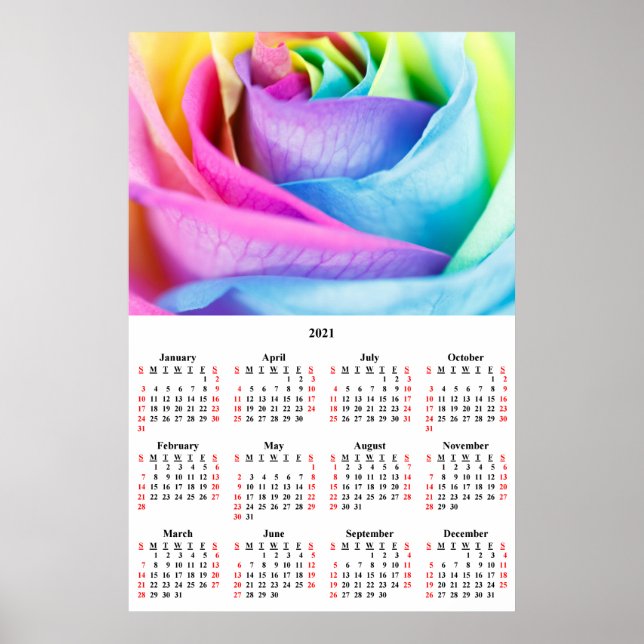 2021 Wall Calendar Rainbow Rose Poster (Vorne)