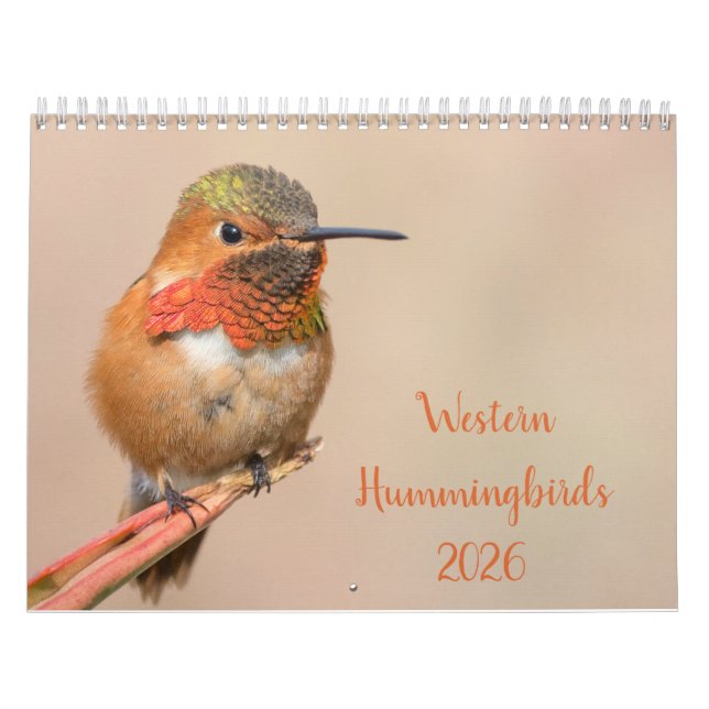 2021 Western Hummingbirds Fotografie Kalender (Titelbild)