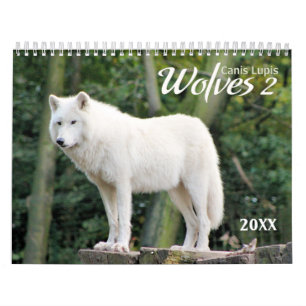 2021 Wolves 2 Wildlife Fotografy Calendar Kalender