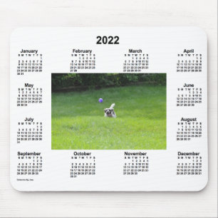 2022 Ball Playing Hunde Foto Calendar von Janz Mousepad