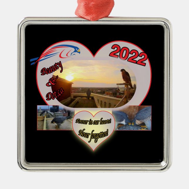 2022 Beauty and Dot.ca Square Memorial Ornament (Vorne)