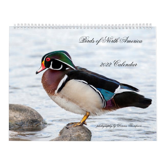 2022 Birds of North America Calendar Kalender (Titelbild)