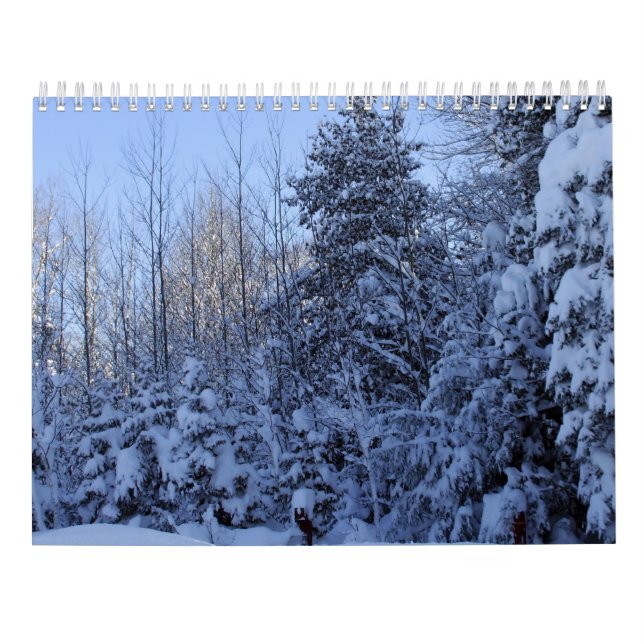 2022 Calendar Nature in Winter  Kalender (Rückseite)