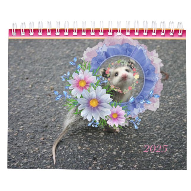 2022 Kalender Farbenfrohe Streifen Opossum (Rückseite)